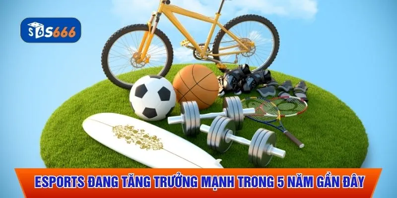 eSports đang tăng trưởng mạnh trong 5 năm gần đây