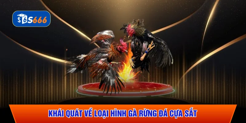 Khái quát về loại hình gà rừng đá cựa sắt